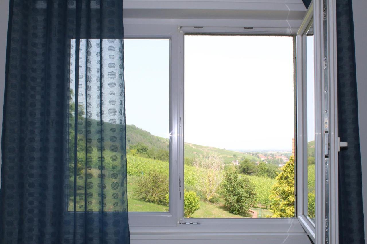Wangen A L'Oree Des Vignes, Superbe Logement De 80 M2 מראה חיצוני תמונה