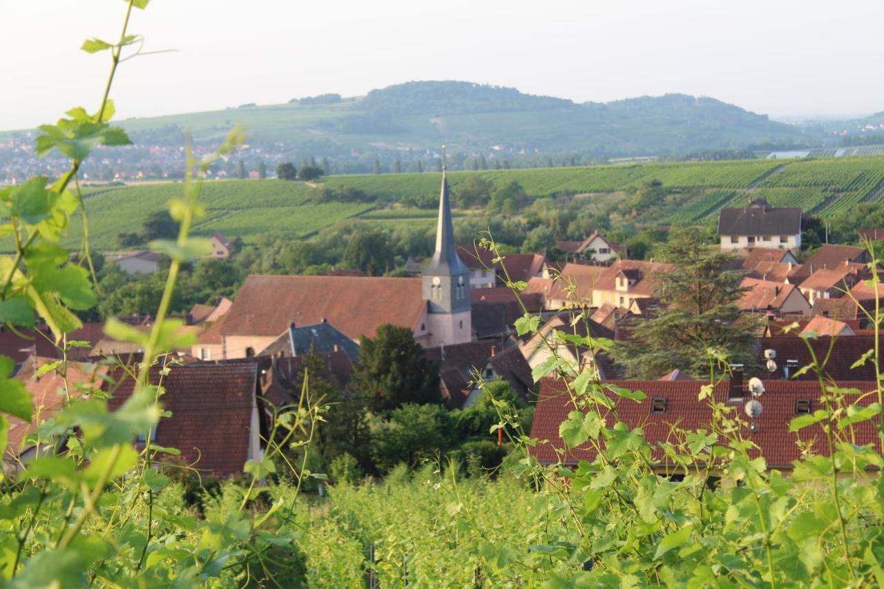 Wangen A L'Oree Des Vignes, Superbe Logement De 80 M2 מראה חיצוני תמונה