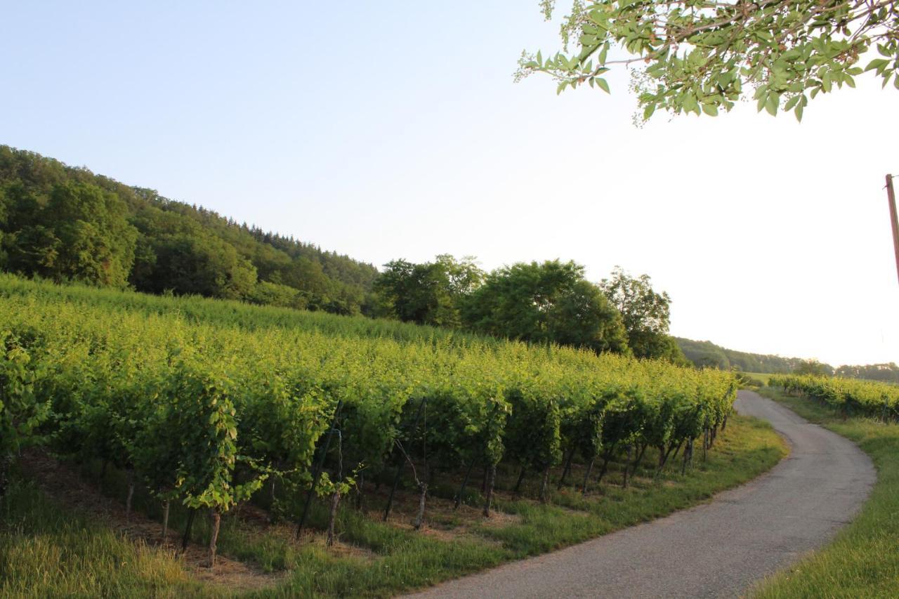 Wangen A L'Oree Des Vignes, Superbe Logement De 80 M2 מראה חיצוני תמונה